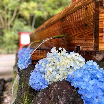 220601_2霧島市林工務店