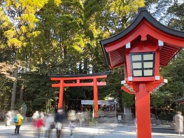 230110_1霧島市林工務店