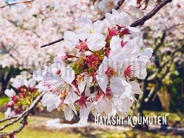 210329_1霧島市林工務店