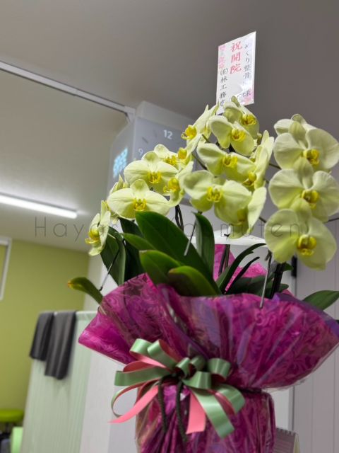 260415_2霧島市TDホーム霧島林工務店