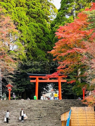 221201霧島市林工務店