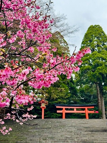 250402_1霧島市TDホーム霧島林工務店