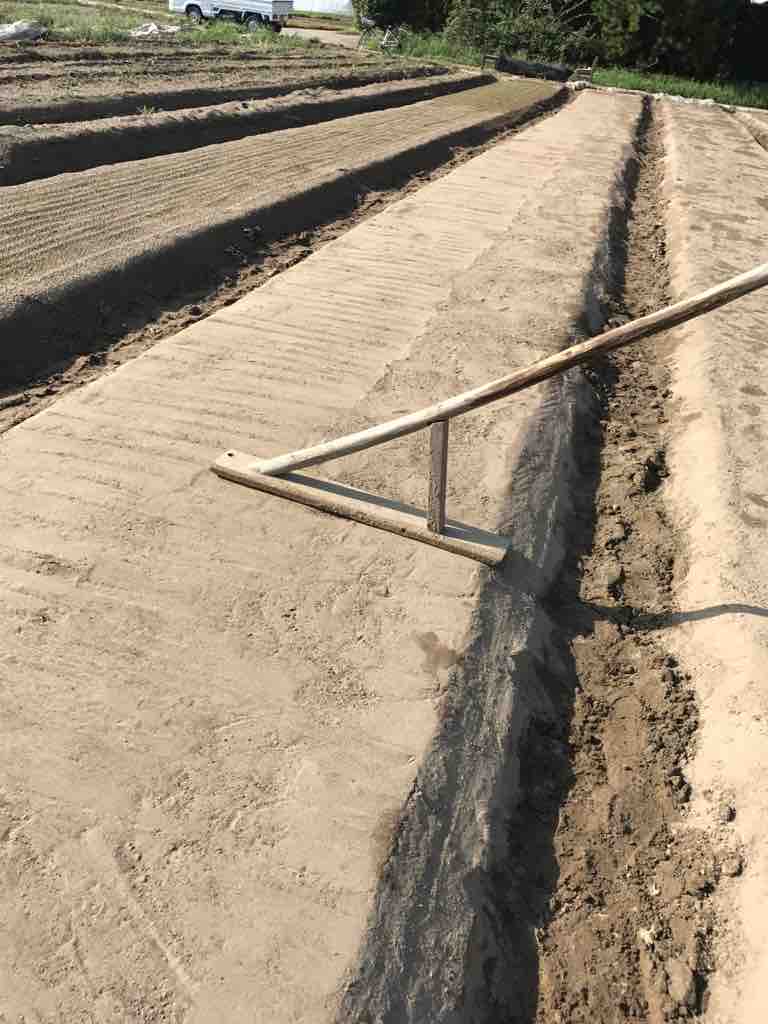 玉ねぎ種まき 白子玉ねぎがおいしい林農園のblog