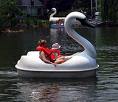 swan