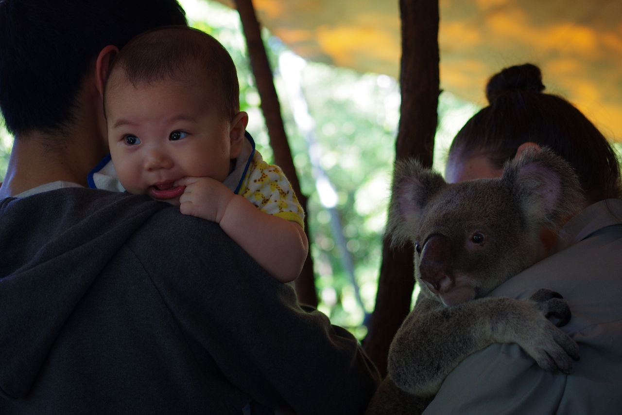子連れケアンズ旅行記1 リンダのblog 子連れケアンズ旅行記1 リンダのblog