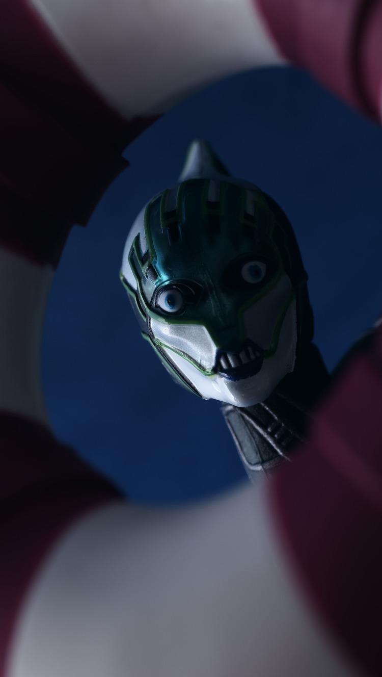 IMGP7880