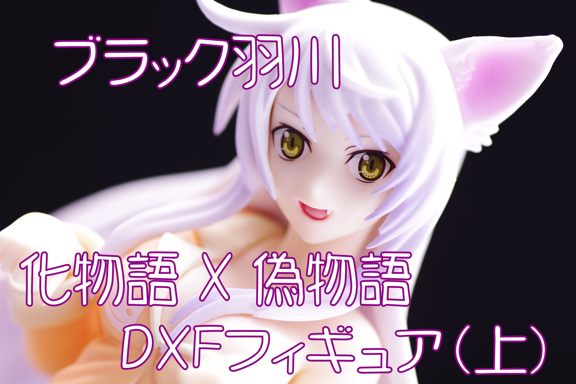 化物語 偽物語 Dxfフィギュア 上 ブラック羽川 レビュー バンプレスト プライズ 真紅のハルヒ