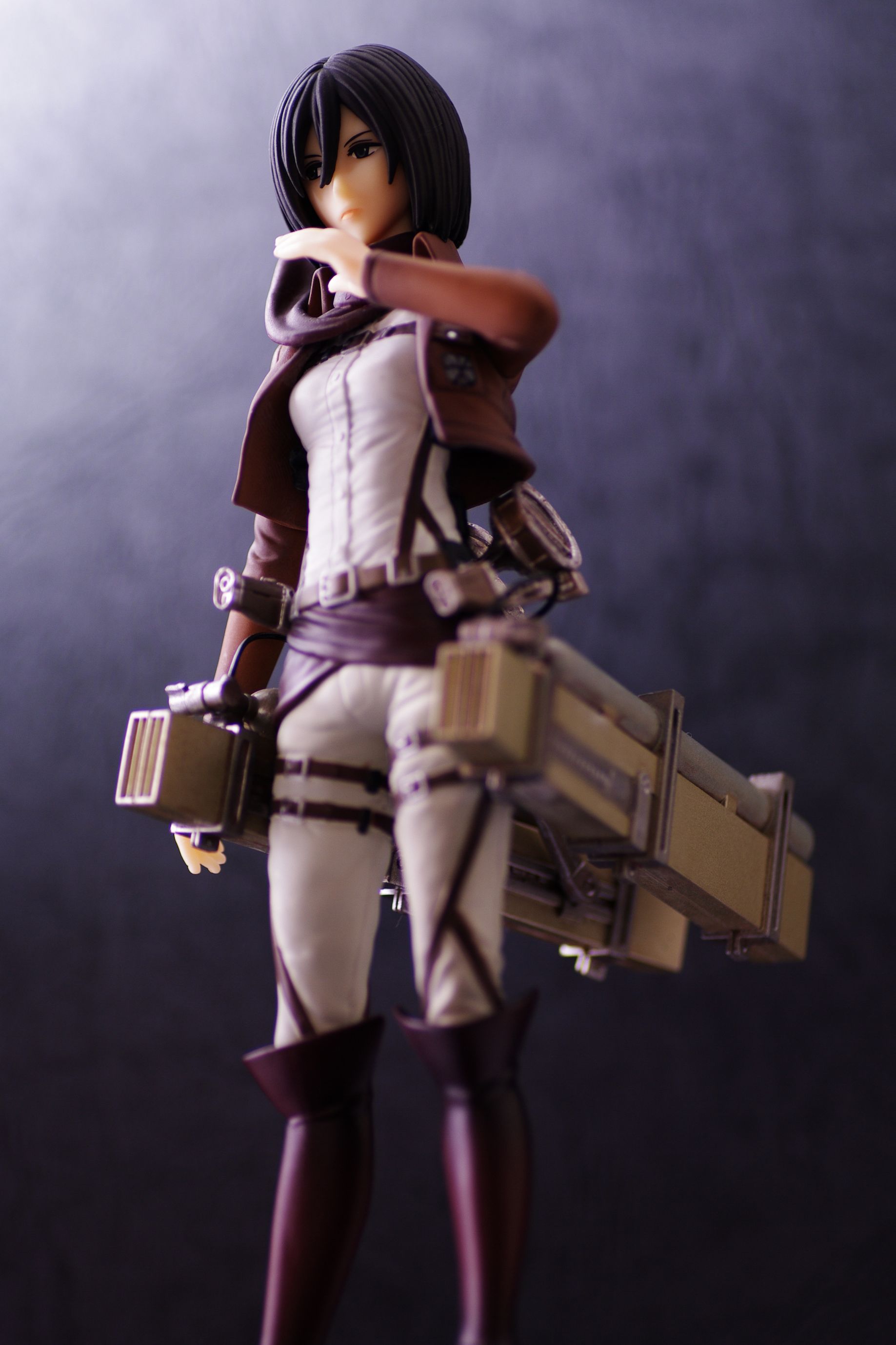 一番くじ 進撃の巨人 くじ奪還作戦 ラストワン賞 ミカサ アッカーマンフィギュア 立体機動ver レビュー 真紅のハルヒ 一番くじ 進撃の巨人 くじ奪還作戦 ラストワン賞 ミカサ アッカーマンフィギュア 立体機動ver レビュー 真紅のハルヒ