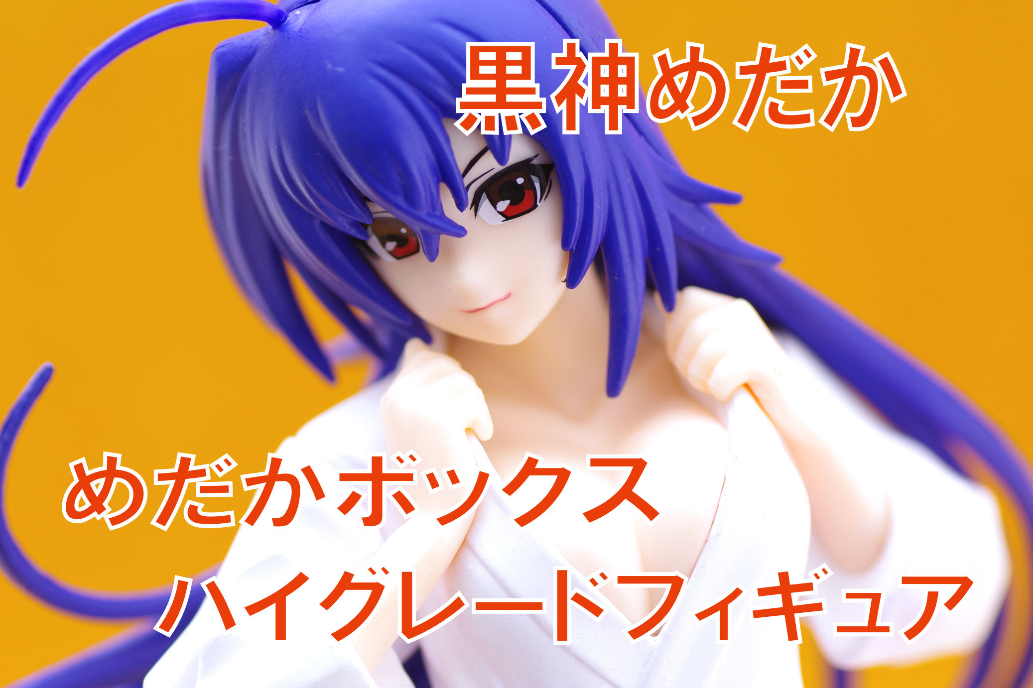 めだかボックス ハイグレードフィギュア 黒神めだか レビュー セガプライズ 真紅のハルヒ めだかボックス ハイグレードフィギュア 黒神めだか レビュー セガプライズ 真紅のハルヒ