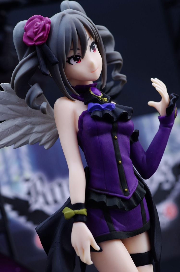 IMGP8540