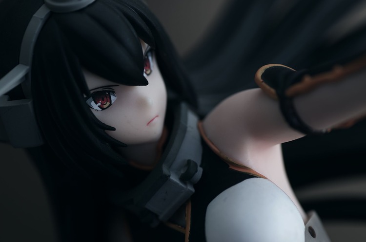 IMGP5964