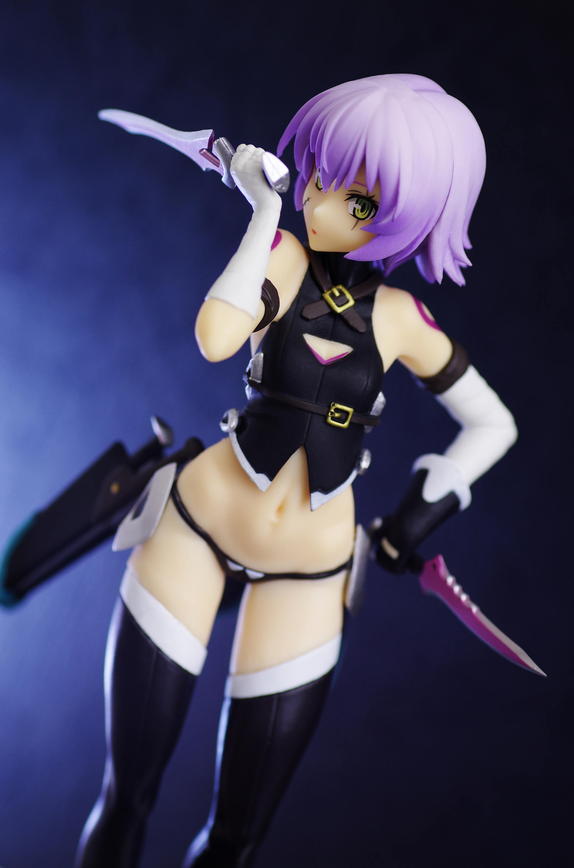 全国どこでも送料無料！ Fate/Apocrypha 黒のアサシン レビュー［タイトー フィギュア 特撮