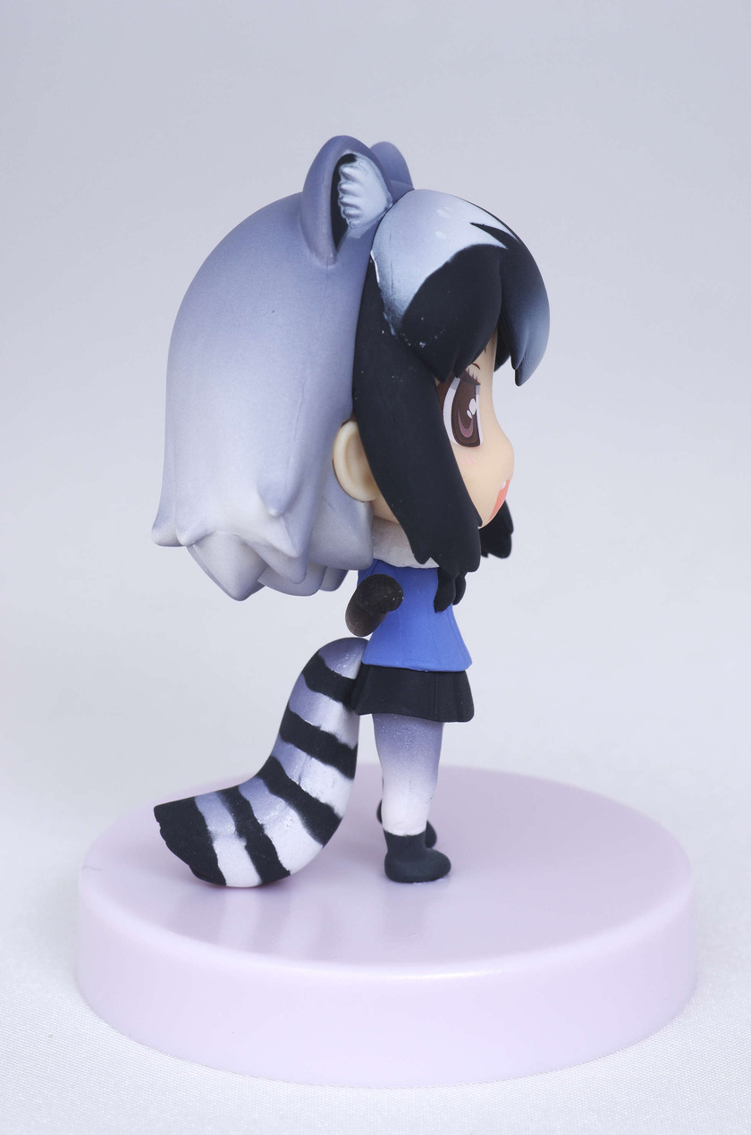 IMGP8529