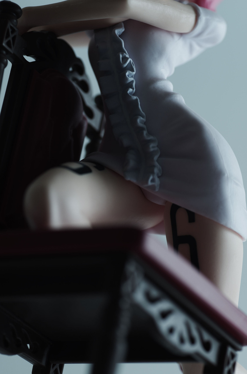 IMGP2833