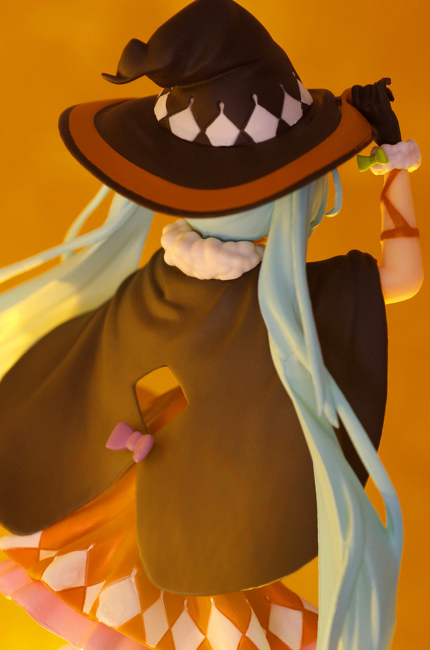 IMGP6701
