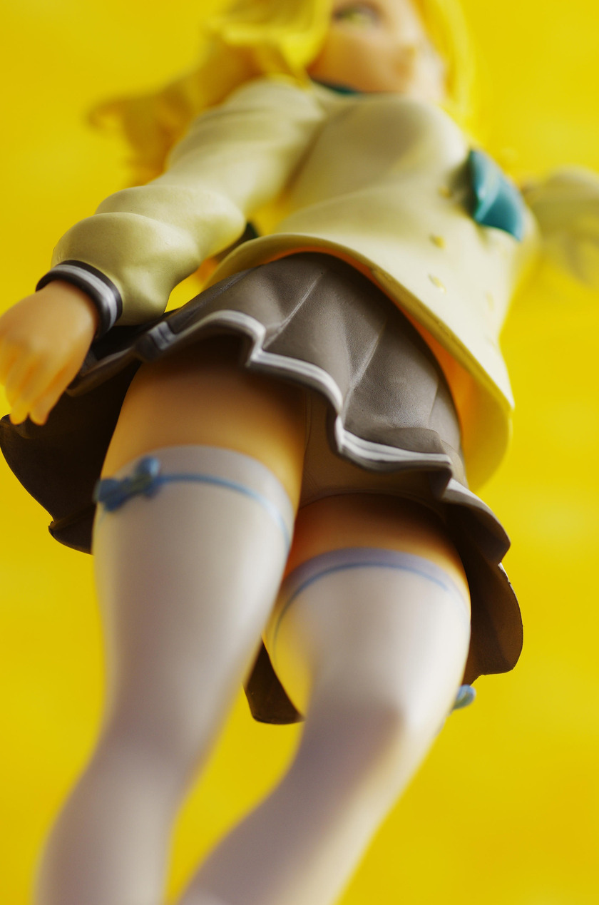 IMGP2988