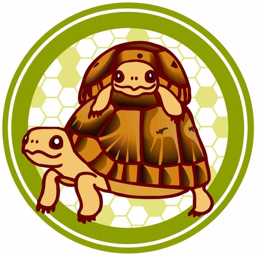 85678A4E-2E08-401D-A968-5B02388C74EF