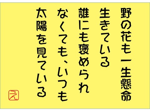 野の花