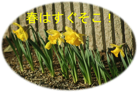 BlogPaint