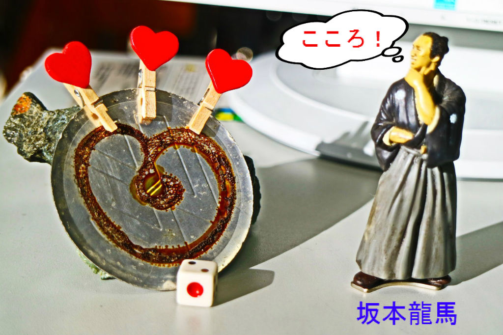 月日は百代の過客にして えんどう豆日記 月日は百代の過客にして えんどう豆日記