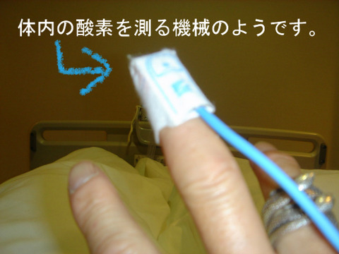 BlogPaint