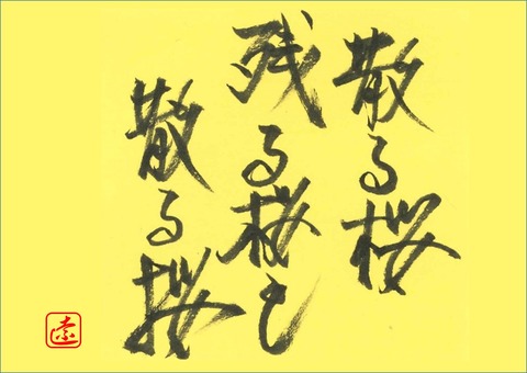 散る桜・・・