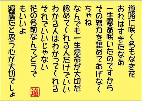 道路に咲く花