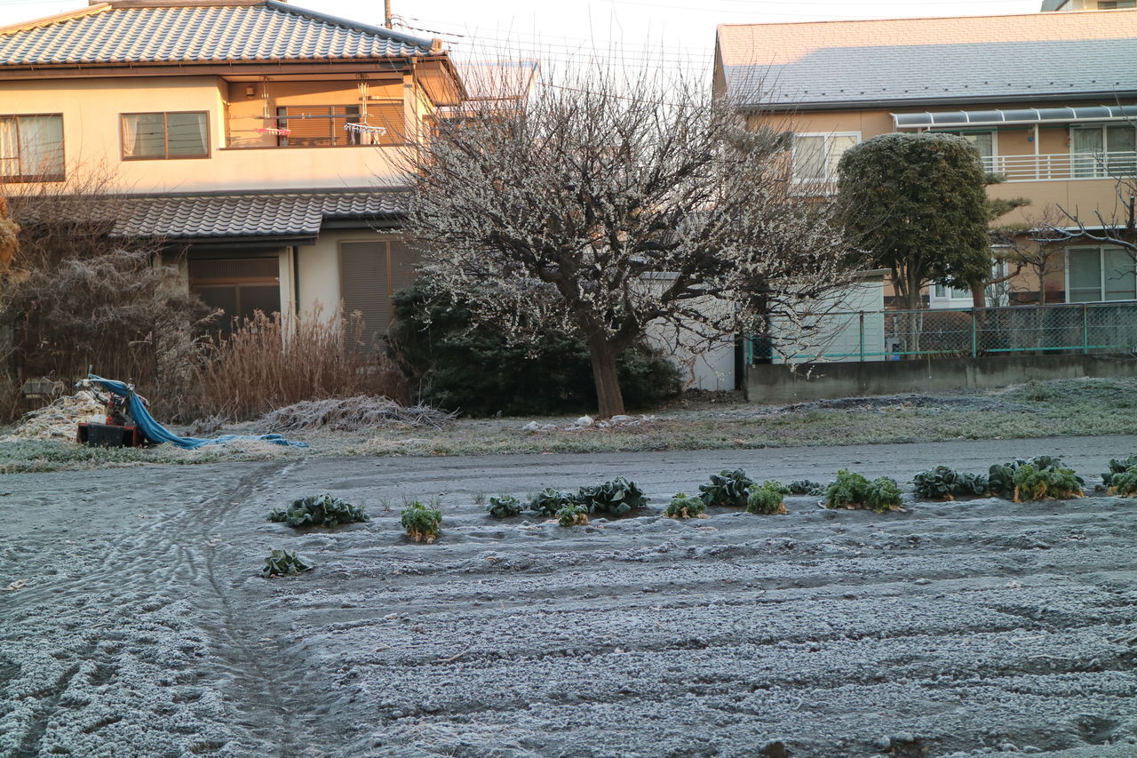 月日は百代の過客にして 行きかふ年も又旅人也 えんどう豆日記 月日は百代の過客にして 行きかふ年も又旅人也 えんどう豆日記