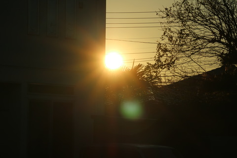IMG_0489[1]
