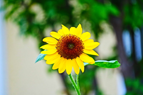 IMG_0198[1]