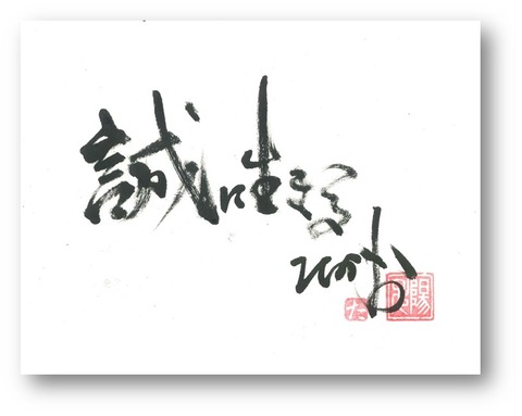 図48