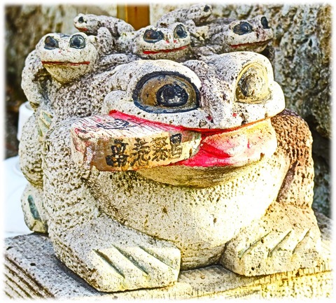 新川さくら7