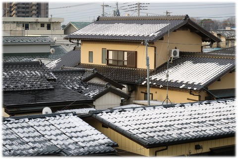 ２０．３．３０ ＥＯＳ 花１１