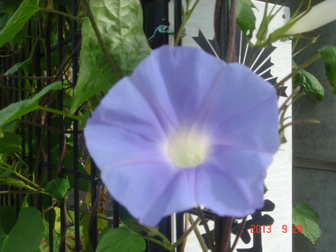 DSC02516