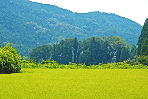 IMG_7877