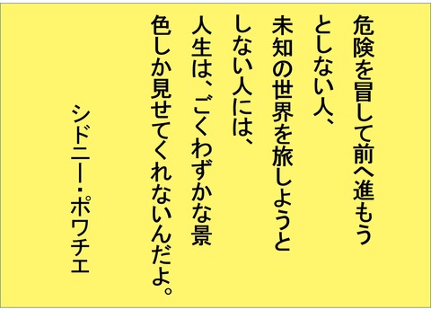 しどにー