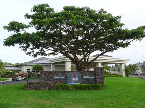 P1520859