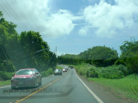 P1520794