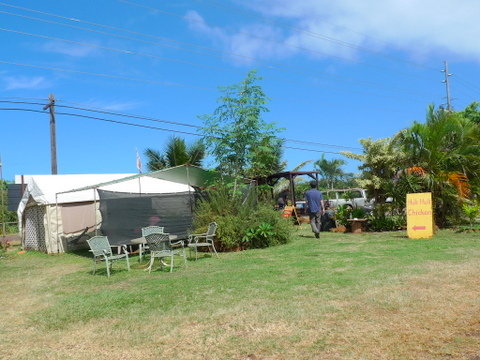 P1520789