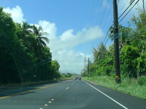 P1520778