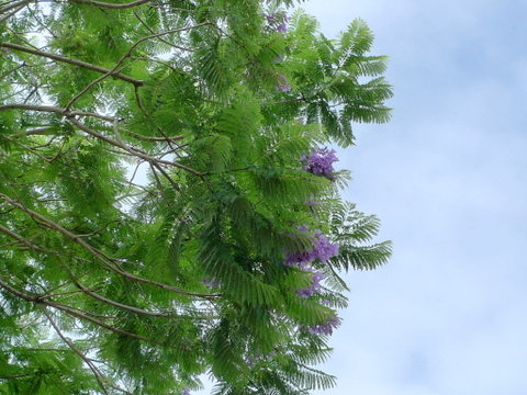 P1530019