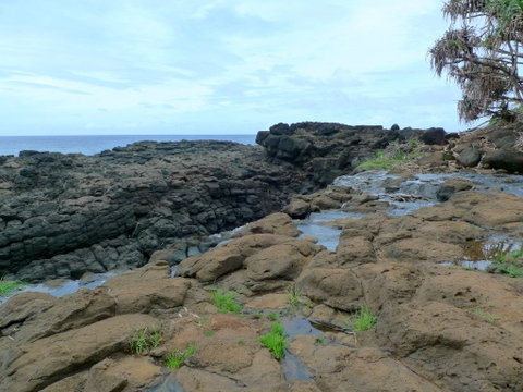P1520950