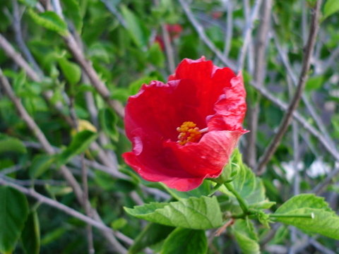 P1470084