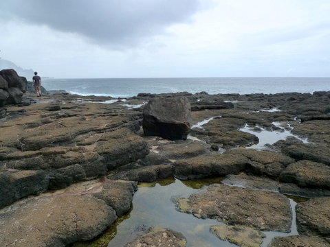 P1520954