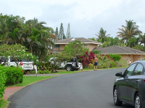 P1520983