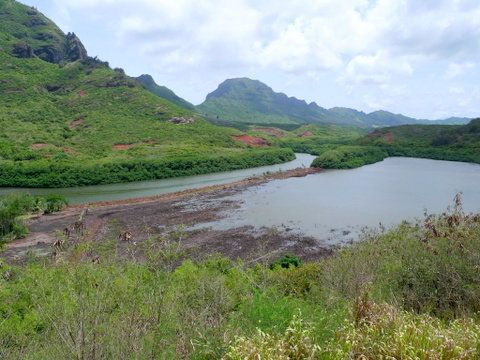 P1540938
