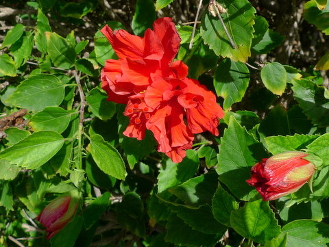 P1470144