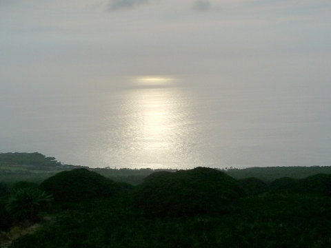 P1520265