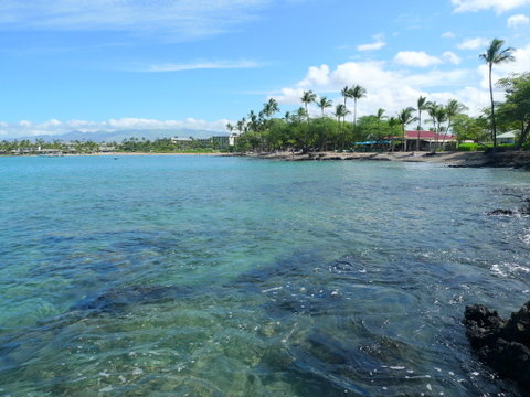 P1520368