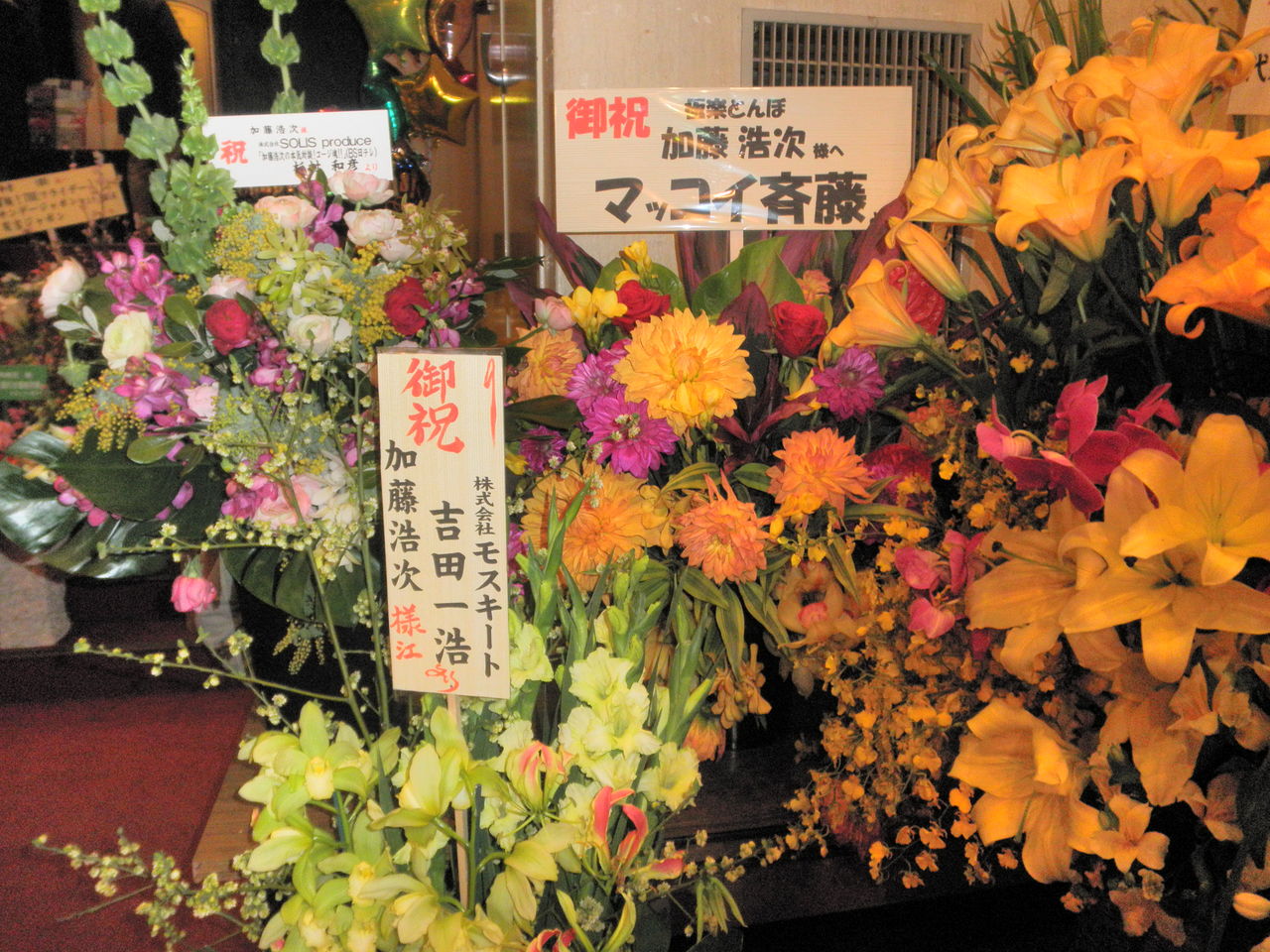 2 22 23 イルネス共和国 全三公演 At 銀座博品館劇場 追記有 憧れ負けには敵わない 2 22 23 イルネス共和国 全三公演 At 銀座博品館劇場 追記有 憧れ負けには敵わない